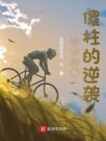 何雨柱秦京茹小说阅读