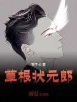 沈溪林黛小说阅读