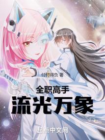 全職高手：流光萬象小说阅读