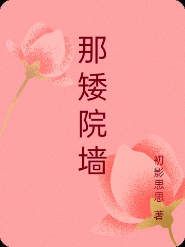 那矮院墙小说阅读