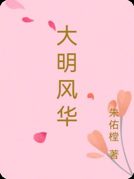 大明风华小说阅读