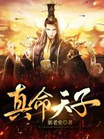 陆铭虞璐小说阅读