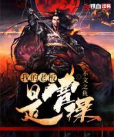 段萍曹操小说阅读