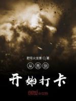 王岩李云龙小说阅读