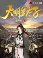 朱仙苏月小说阅读