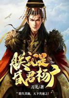 朕就是昏君杨广小说阅读