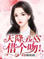 天降BOSS，借个吻！小说阅读