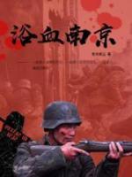 浴血南京小说阅读