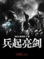 兵起亮剑小说阅读