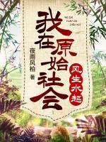 吴浩莉小说阅读