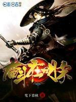 奋斗在明末小说阅读