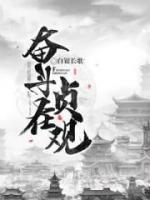 奋斗在贞观小说阅读