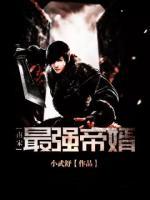 南宋最强帝婿小说阅读