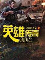 抗日之英雄传奇小说阅读