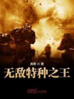 何晨光叶寸心小说阅读