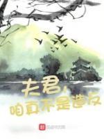 杨玄怡娘小说阅读