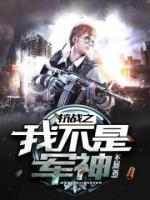 抗战之我不是军神小说阅读