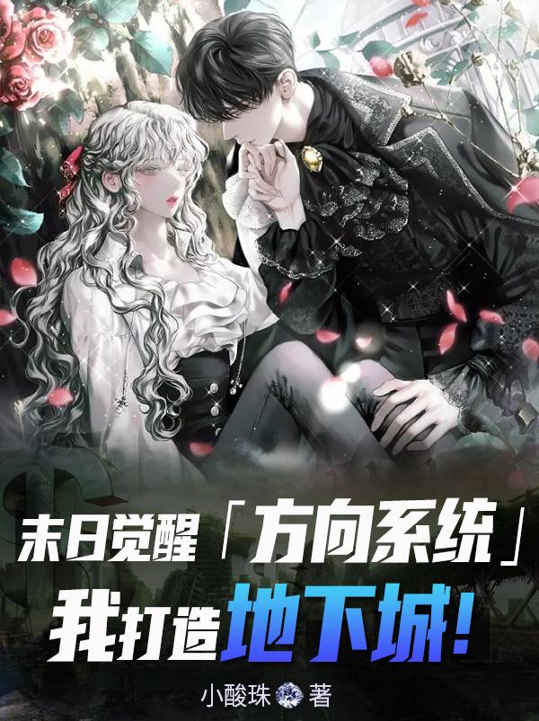 末日觉醒方向系统，我打造地下城小说阅读