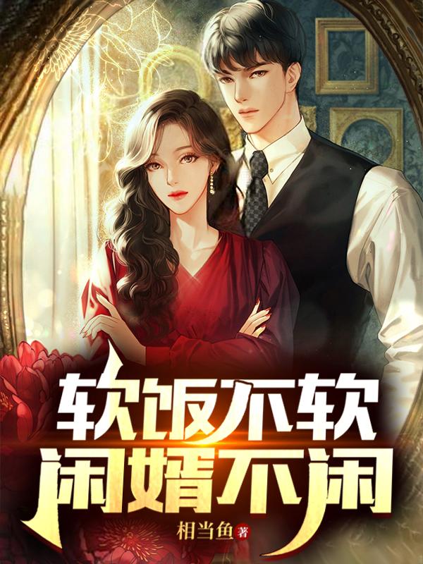 软饭不软，闲婿不闲小说阅读