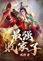 最强败家子小说阅读