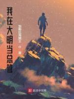 沈浪崇祯小说阅读