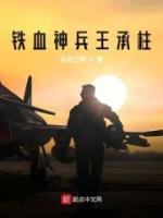 王承柱李云龙小说阅读