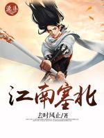 江南塞北小说阅读