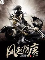 风起隋唐小说阅读