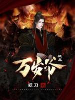 穿越夏朝当皇帝小说阅读