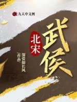 北宋武侯小说阅读