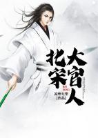 北宋大官人小说阅读