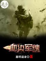 血染军魂小说阅读
