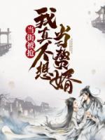 崔文卿折昭小说阅读