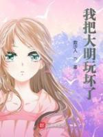 我把大明玩坏了小说阅读