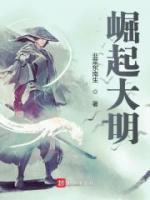 崛起大明小说阅读
