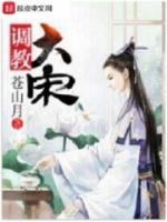 调教大宋小说阅读