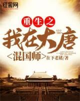 重生之我在大唐混国师小说阅读