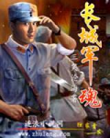 长城军魂小说阅读
