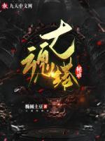 七魂塔秘录小说阅读